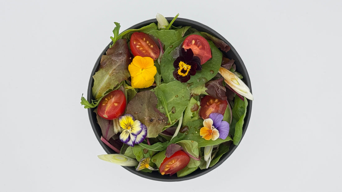 Balsamico-Dressing mit Balsamico-Essig-Crema, Olivenöl, Senf, Knoblauch, Meersalz und weißem Pfeffer für Beilagen-Salat mit essbaren Blüten garniert